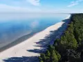Spokojny zalew Wiślany o błękitnej tafli, piaszczysta plaża i gęsty las sosnowy tworzą malowniczy krajobraz.