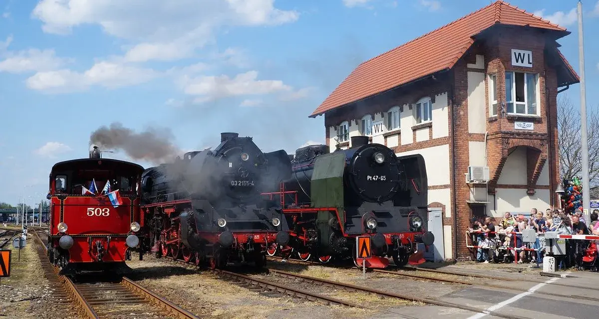 Parowóz 503 i dwa czarne parowozy na torach przed budynkiem z napisem WL. Muzeum Kolejnictwa Wolsztyn.