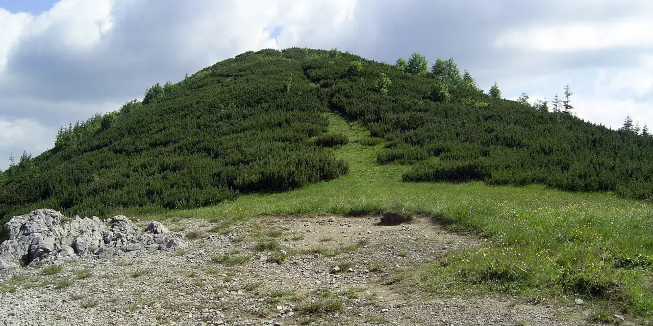 Wielka królowa kopa, porośnięta kosodrzewiną, wznosi się ku błękitnemu niebu z chmurami. Ścieżka wije się po jej zboczu.