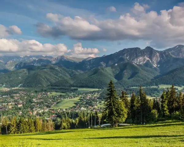 Widok na Tatry z Zakopanem u podnóża. W oddali widać skaliste szczyty, a bliżej zielone zbocza porośnięte lasem. To właśnie takie krajobrazy tworzą regle.