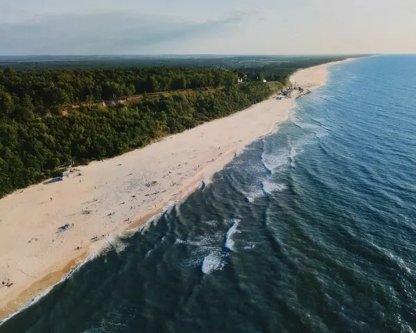 Jastrzębia Góra atrakcje: szeroka plaża, las na klifie i Bałtyk. Idealne miejsce na wypoczynek.
