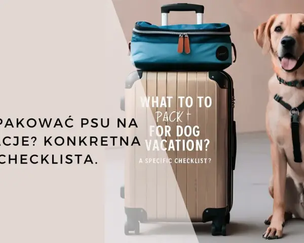 Uśmiechnięty pies obok walizki i torby podróżnej. Tekst: "Co spakować psu na wakacje? Konkretna checklist." Idealny przewodnik na wakacje z psem.