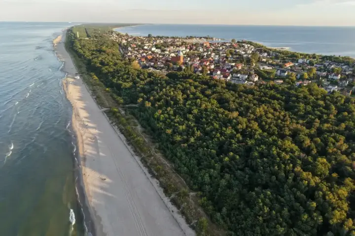 Piękna plaża i las nad morzem, idealne miejsce na wyjazd na majówkę.