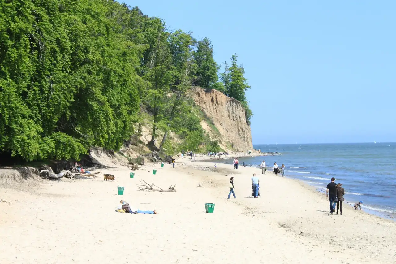 Plaża w Orłowie z klifem i zielonym lasem. Ludzie spacerują, odpoczywają, a pies biega po piasku.