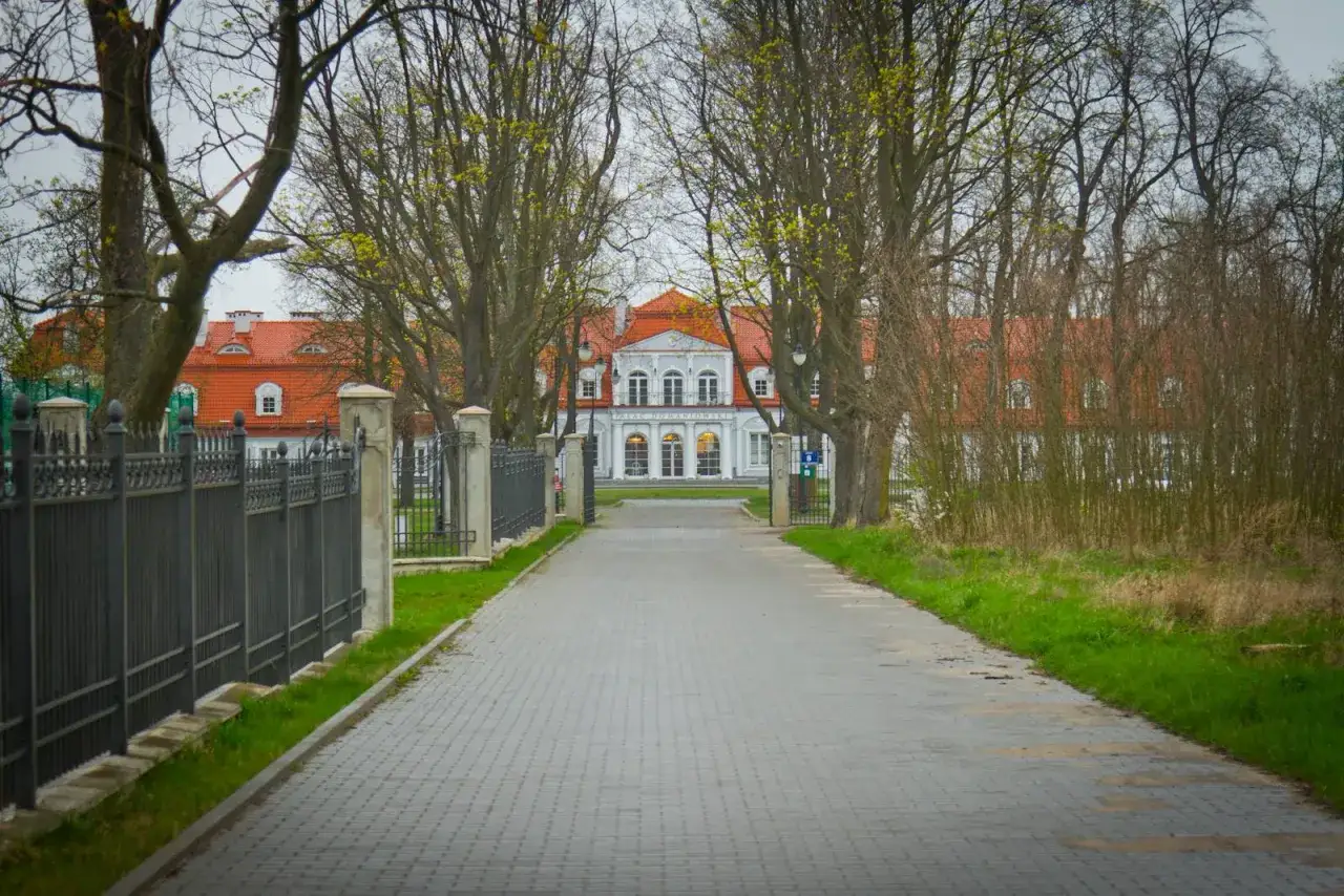 Aleja prowadząca do Pałacu Domaniewskiego, otoczona drzewami i ogrodzeniem.