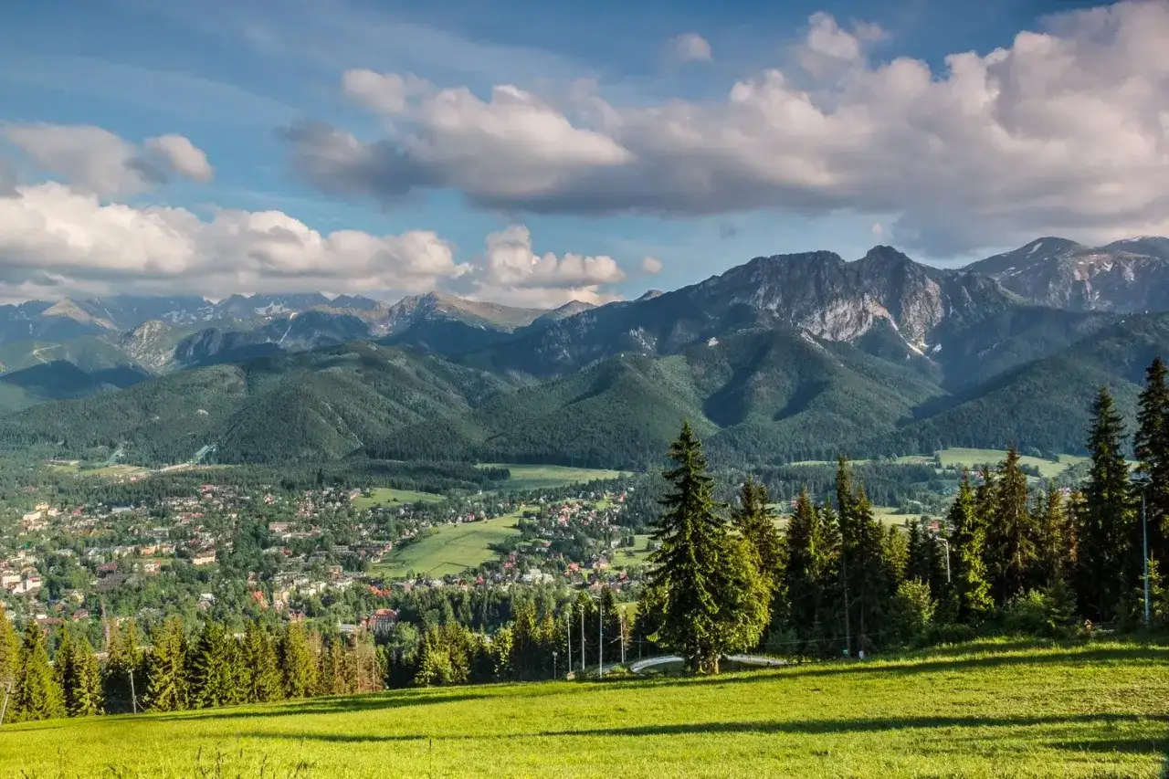 Widok na Tatry z Zakopanem u podnóża. Zielone zbocza, lasy i skaliste szczyty. To właśnie regle, czyli pasmo górskie między lasem a halami.