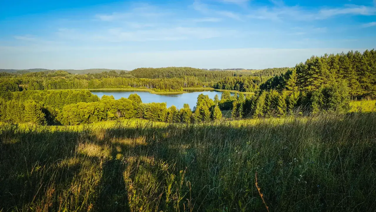 Malownicze jezioro Jaczno otoczone gęstym lasem, z łąką pełną traw w pierwszym planie.